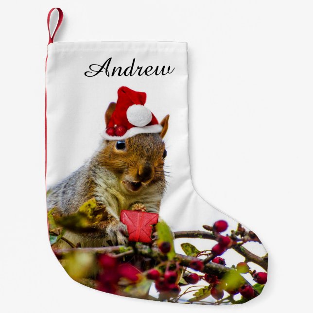 Christmas Squirrel personalised stocking (Front)