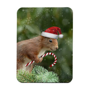 Christmas squirrel photo magnet