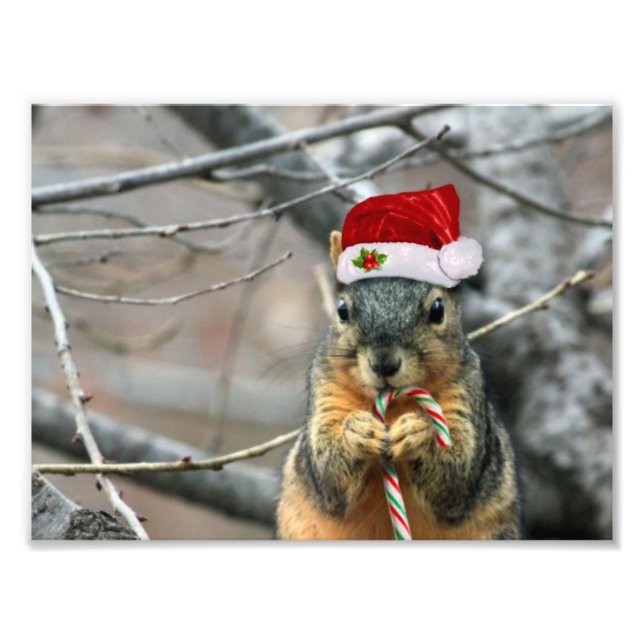 Christmas Squirrel Photo Print (Front)