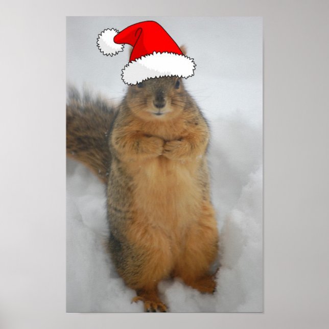 Christmas Squirrel Poster (Front)