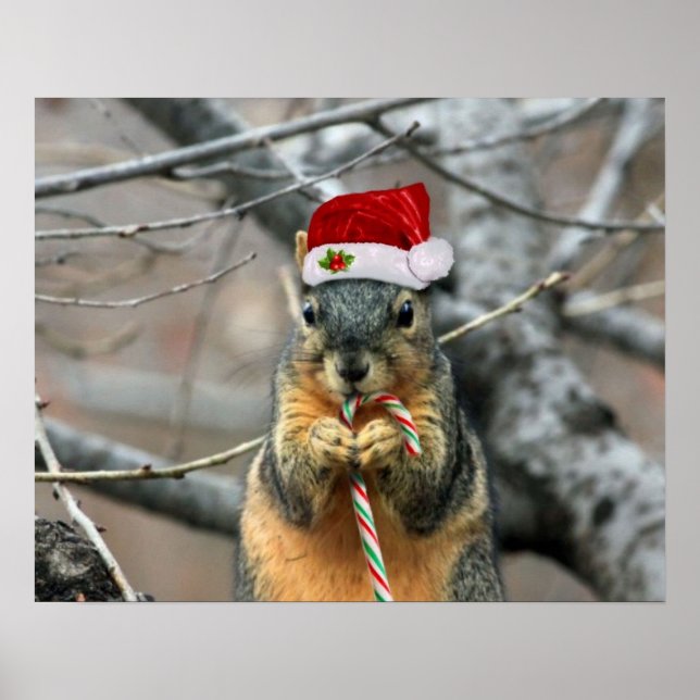 Christmas Squirrel Poster (Front)