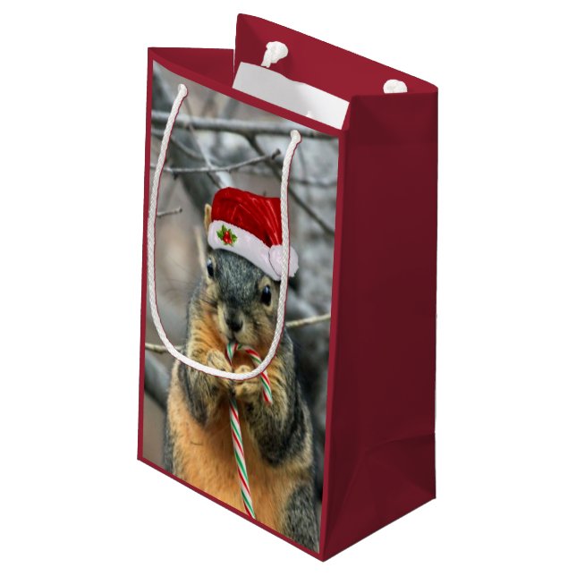 Christmas Squirrel Small Gift Bag (Back Angled)