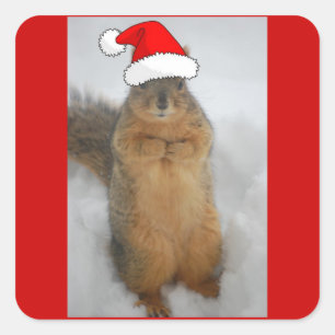Christmas Squirrel Square Sticker