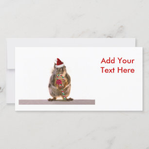 Christmas Squirrel with Candy Cane Holiday Card