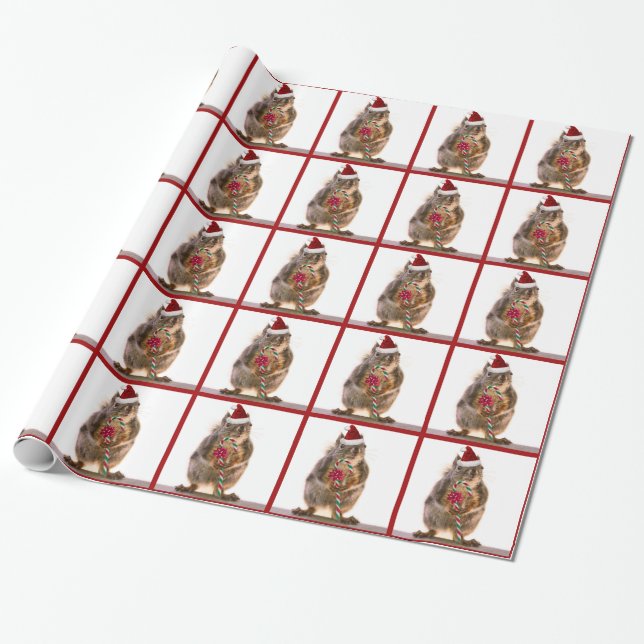 Christmas Squirrel with Candy Cane Wrapping Paper (Unrolled)