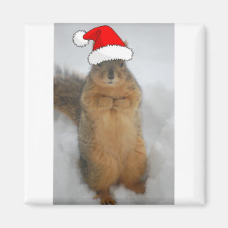 Christmas Squirrel with Santa Magnet