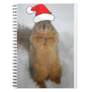 Christmas Squirrel with Santa Notebook