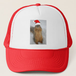 Christmas Squirrel with Santa Trucker Hat
