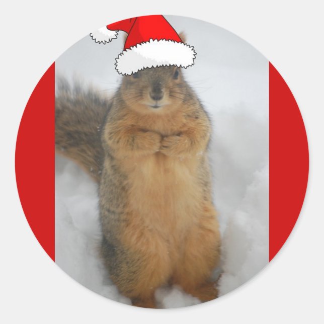 Christmas Squirrels Classic Round Sticker (Front)