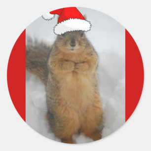 Christmas Squirrels Classic Round Sticker