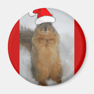 Christmas Squirrels Magnet