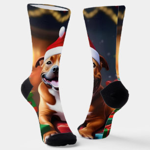 Christmas Staffordshire Bull Terrier,   Socks