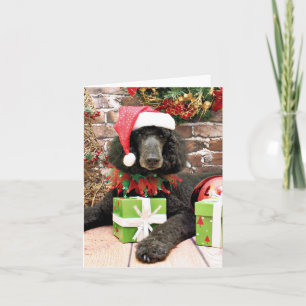 Christmas - Standard Poodle - Bronco Holiday Card