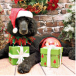 Christmas - Standard Poodle - Bronco Standing Photo Sculpture<br><div class="desc">Treated to pampering by Teagarden,  I was there to photograph this Standard Poodle Dog for it's Christmas Holiday portrait.  To see the rest of this photoshoot visit www.SayWoofPetography.photoreflect.com</div>