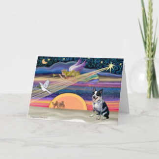 Christmas Star - Australian Cattle Dog Holiday Card