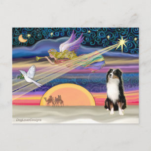 Christmas Star - Australian Shepherd (Tri) Holiday Postcard
