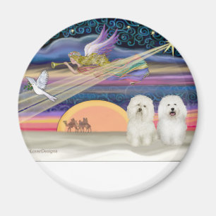 Christmas Star - Bolognese (two) Magnet