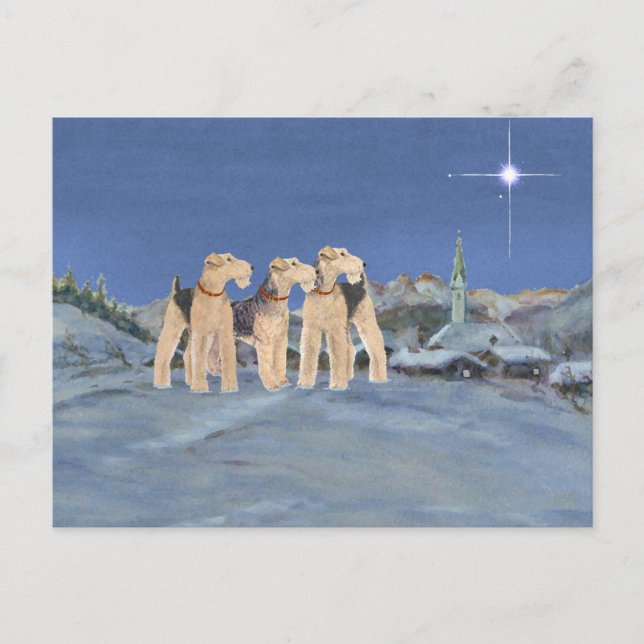 Christmas Star Holiday Postcard (Front)