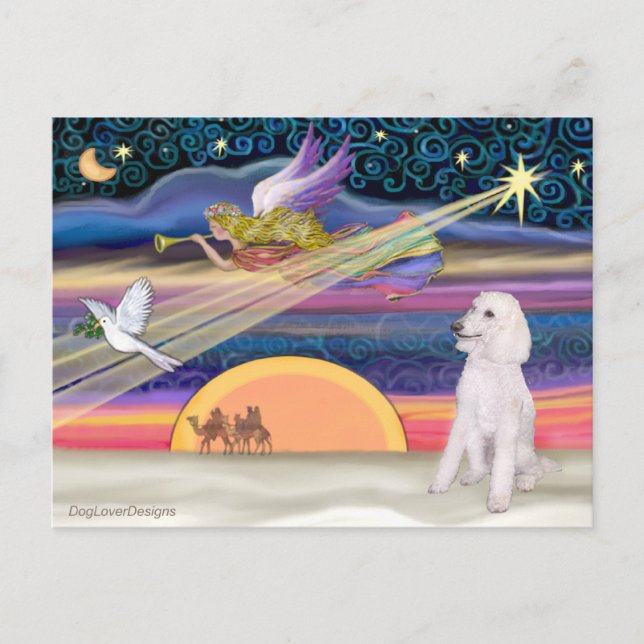 Christmas Star - Poodle (white Standard) - Holiday Postcard (Front)