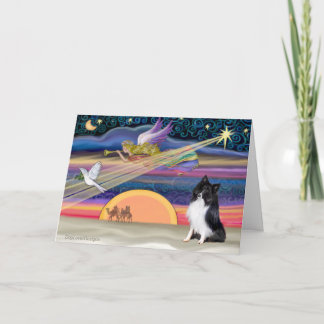 Christmas Star -Shetland Sheepdog (bi-black) Holiday Card