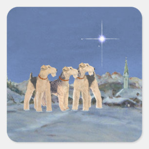 Christmas Star Square Sticker