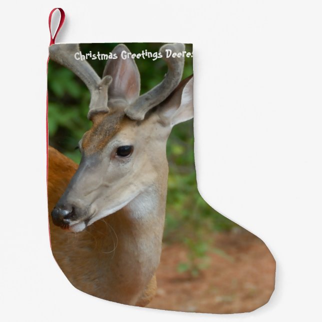 Christmas Stocking (Front)
