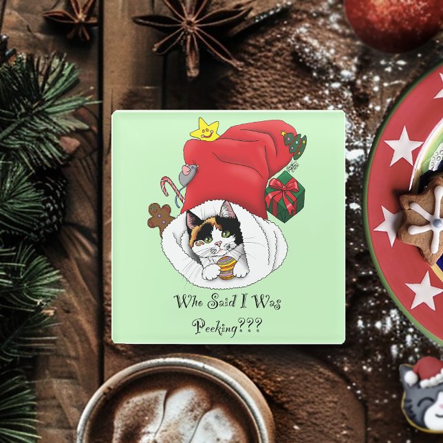 Christmas Stocking Cute Calico Kitten Glass Coaster (Creator Uploaded)