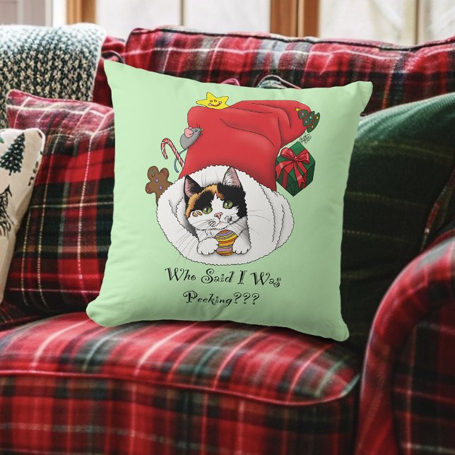 Christmas Stocking Kitten Cushion (Creator Uploaded)