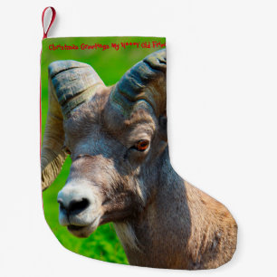 Christmas Stocking My Honey Old Friend