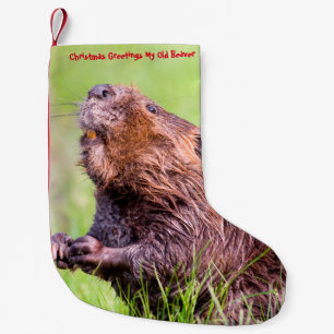 Christmas Stocking My Old Beaver