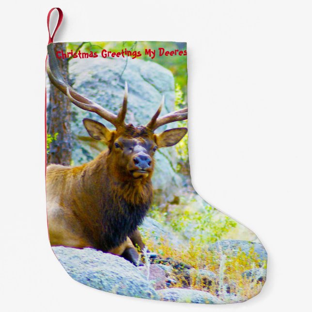 Christmas Stocking My Old Deerest (Front)