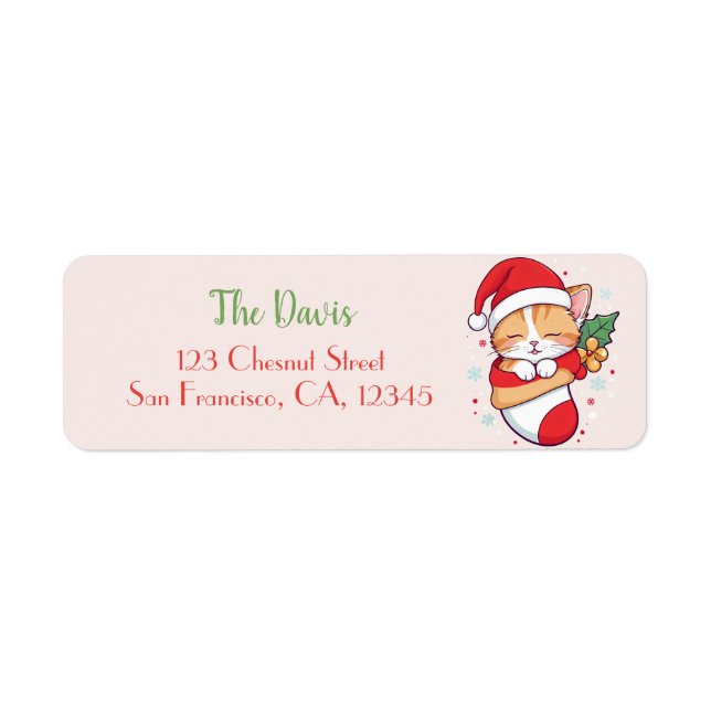 Christmas Stocking - Sleeping Kitten in Santa Hat (Front)
