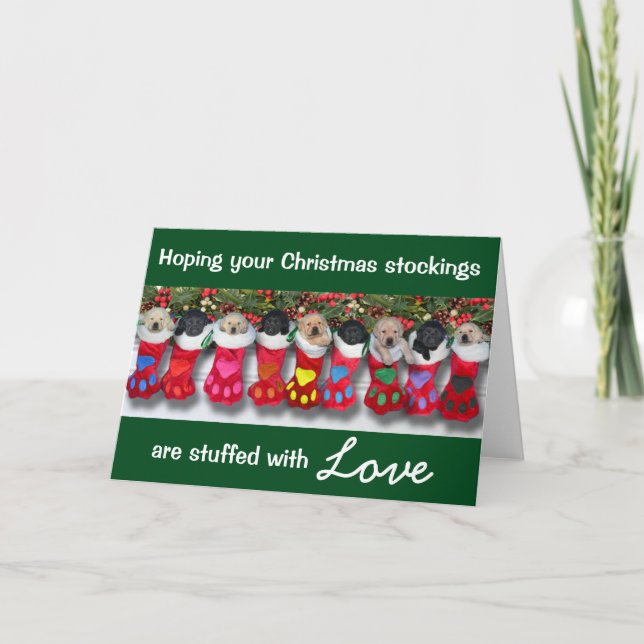 Christmas Stockings Gratitude Litter Holiday Card (Front)
