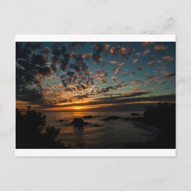 Christmas Sunset Holiday Postcard (Front)