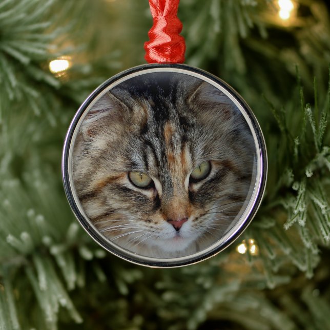 Christmas Tabby Cat Portrait Ornament (Tree)
