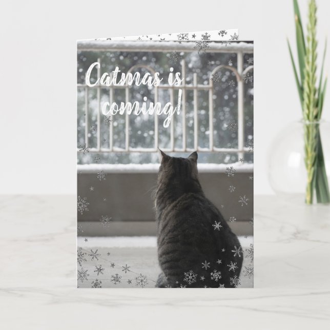 Christmas Tabby Cute Cat in the Snow Holiday Card (Front)