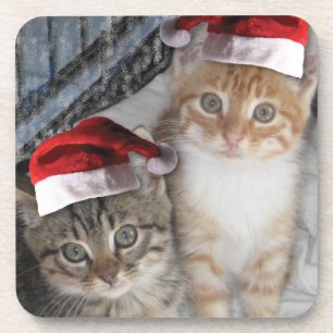 Christmas Tabby Kittens Coaster