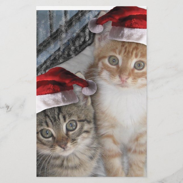Christmas Tabby Kittens Stationery (Front)