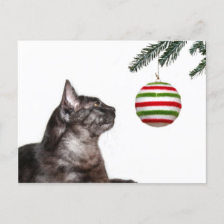 Christmas temptation holiday postcard