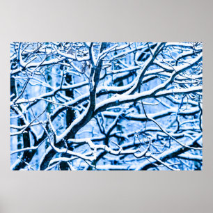 Christmas time forest poster