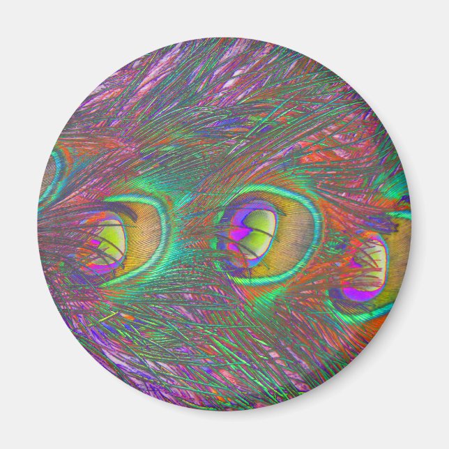 Christmas Tinsel Peacock Feathers Magnet (Front)