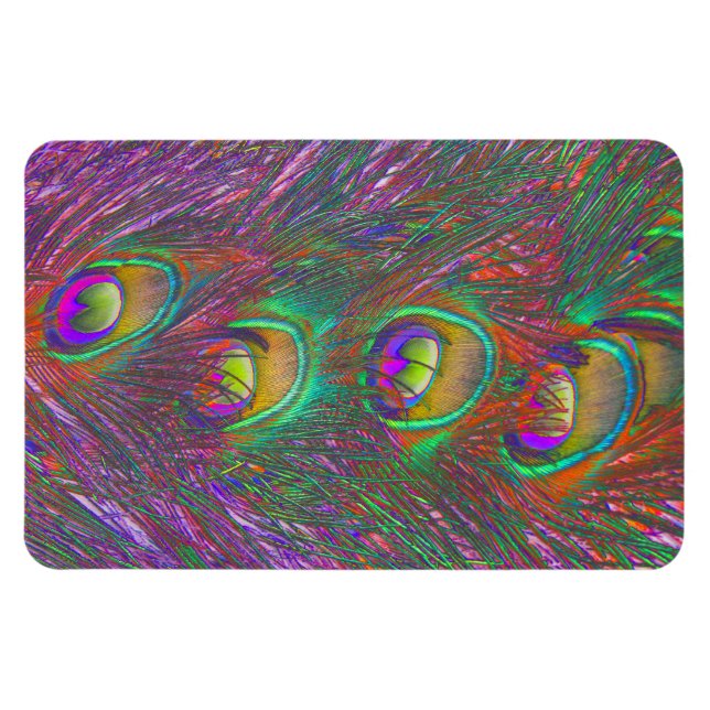 Christmas Tinsel Peacock Feathers Magnet (Horizontal)