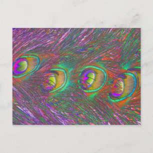 Christmas Tinsel Peacock Feathers Postcard