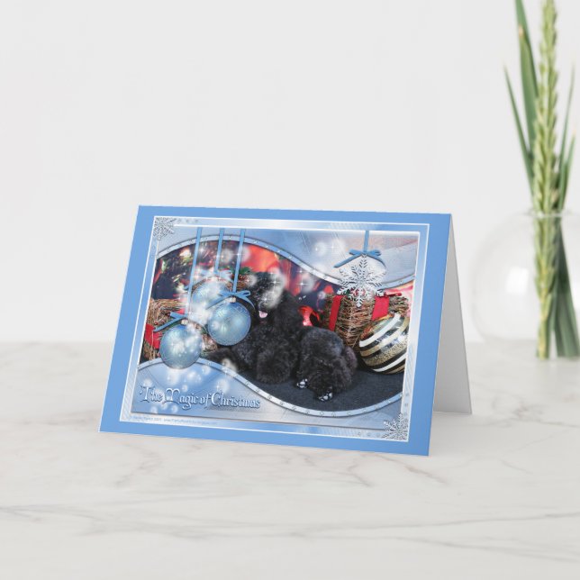 Christmas - Toby - Poodle Holiday Card (Front)