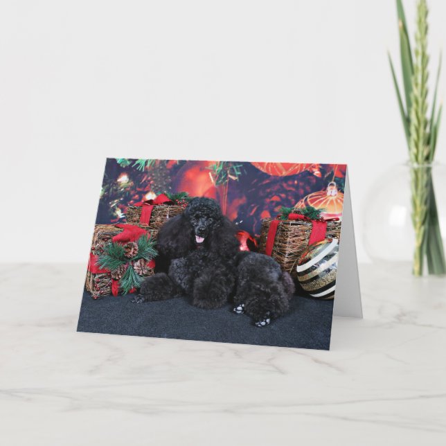 Christmas - Toby - Poodle Holiday Card (Front)
