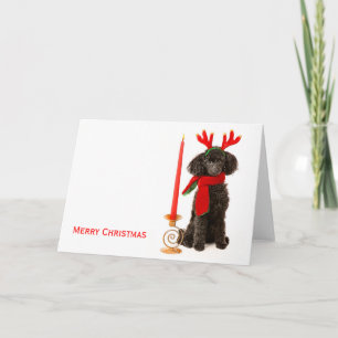Christmas Toy Poodle Dog Holiday Card