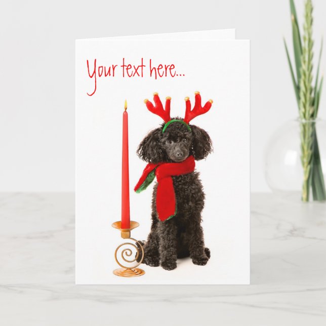 Christmas Toy Poodle Dog Holiday Card (Front)