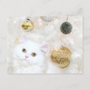 Christmas tree and kitty cat match holiday postcard