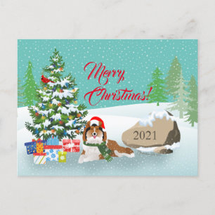 Christmas Tree and Sable Sheltie Holiday Postcard