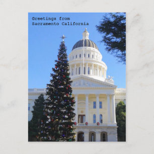 Christmas Tree at the Capitol Postcard